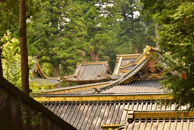 DSC_3884 (Large).JPG